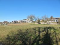 IMG_0469